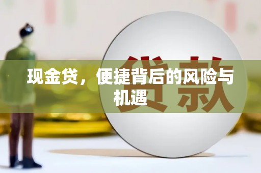 东丰现金贷，便捷背后的风险与机遇