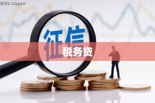 东丰税务贷