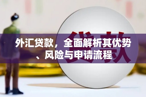 东丰外汇贷款，全面解析其优势、风险与申请流程