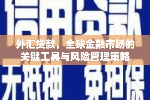 东丰外汇贷款，全球金融市场的关键工具与风险管理策略