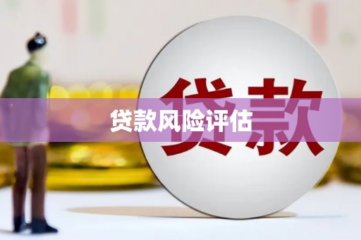 东丰贷款风险评估