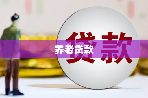 东丰养老贷款