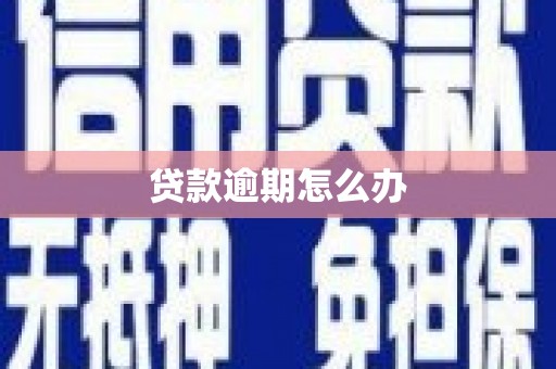 东丰贷款逾期怎么办