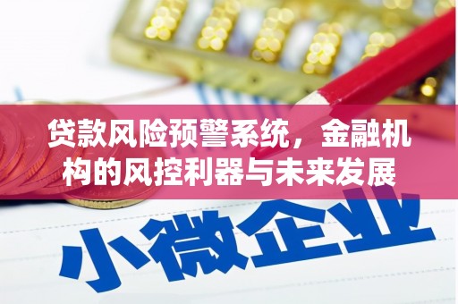 东丰贷款风险预警系统，金融机构的风控利器与未来发展