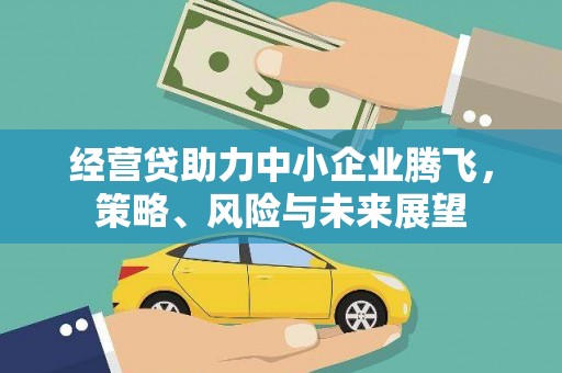 东丰经营贷助力中小企业腾飞，策略、风险与未来展望