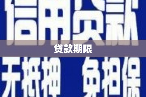 东丰贷款期限