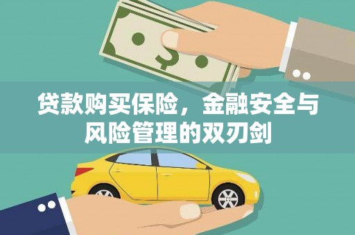 东丰贷款购买保险，金融安全与风险管理的双刃剑