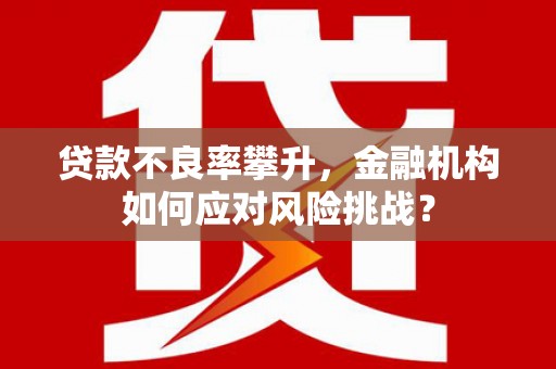 东丰贷款不良率攀升，金融机构如何应对风险挑战？