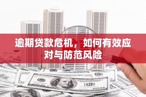 东丰逾期贷款危机，如何有效应对与防范风险