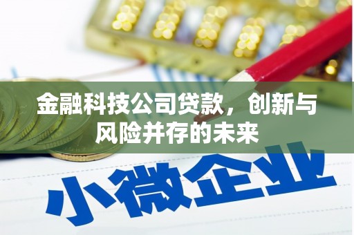 东丰金融科技公司贷款，创新与风险并存的未来