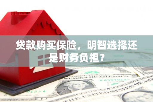 东丰贷款购买保险，明智选择还是财务负担？