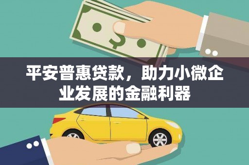 东丰平安普惠贷款，助力小微企业发展的金融利器