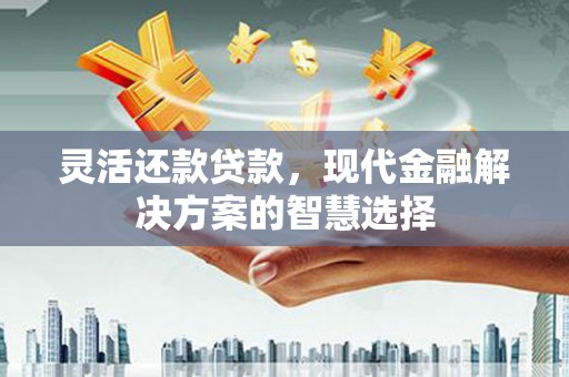 东丰灵活还款贷款，现代金融解决方案的智慧选择