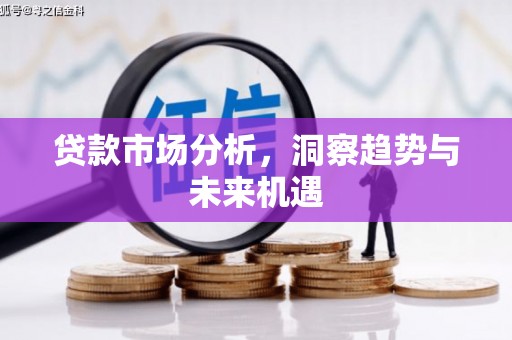 东丰贷款市场分析，洞察趋势与未来机遇