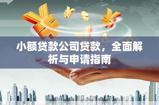 东丰小额贷款公司贷款，全面解析与申请指南