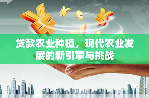 东丰贷款农业种植，现代农业发展的新引擎与挑战
