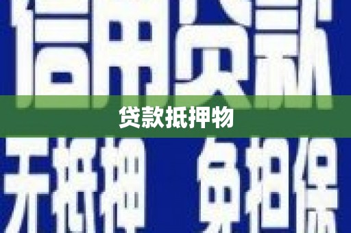 东丰贷款抵押物