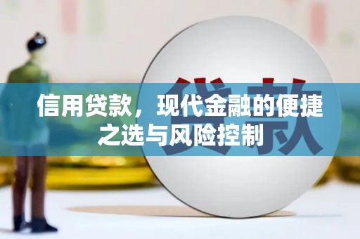 东丰信用贷款，现代金融的便捷之选与风险控制