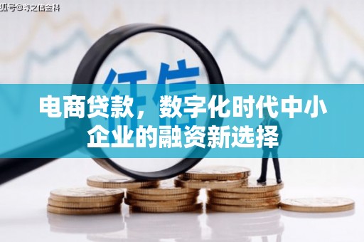 东丰电商贷款，数字化时代中小企业的融资新选择