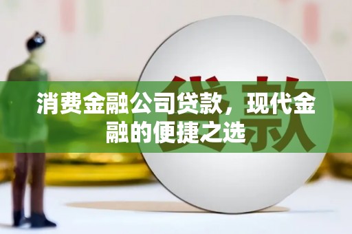 东丰消费金融公司贷款，现代金融的便捷之选