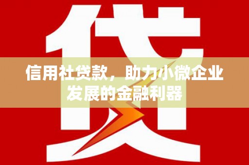 东丰信用社贷款，助力小微企业发展的金融利器