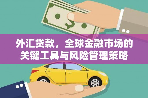 东丰外汇贷款，全球金融市场的关键工具与风险管理策略