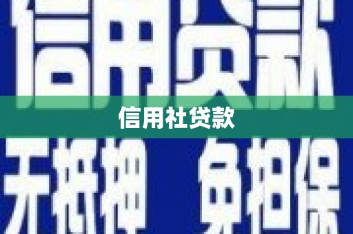 东丰信用社贷款