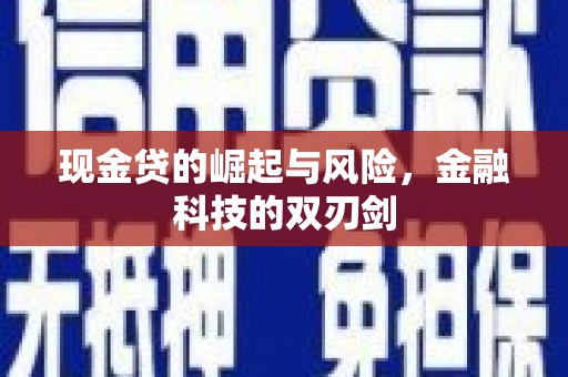 东丰现金贷的崛起与风险，金融科技的双刃剑