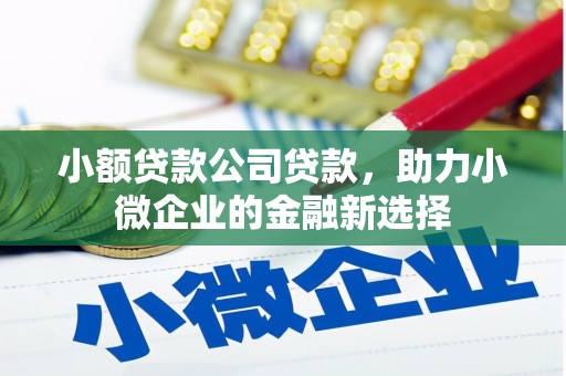 东丰小额贷款公司贷款，助力小微企业的金融新选择
