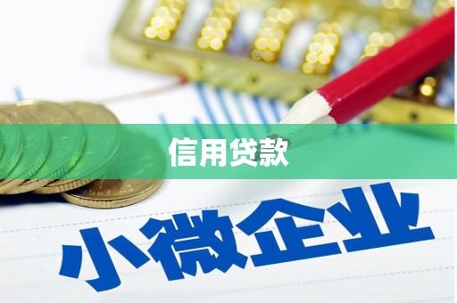 东丰信用贷款
