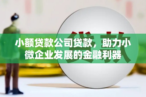 东丰小额贷款公司贷款，助力小微企业发展的金融利器
