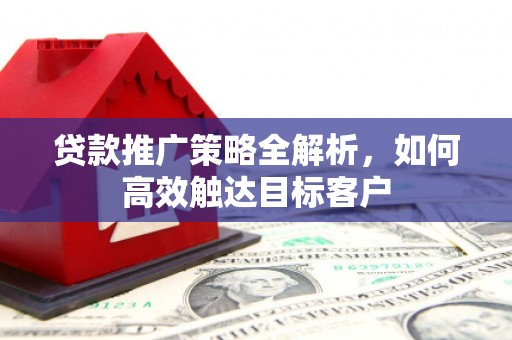 东丰贷款推广策略全解析，如何高效触达目标客户