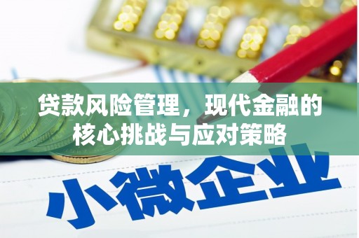 东丰贷款风险管理，现代金融的核心挑战与应对策略