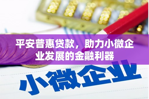 东丰平安普惠贷款，助力小微企业发展的金融利器