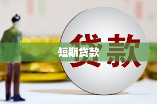 东丰短期贷款