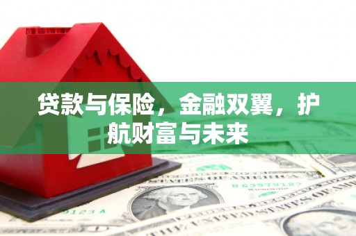 东丰贷款与保险，金融双翼，护航财富与未来