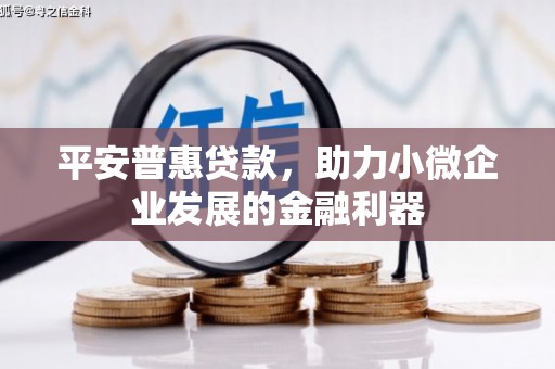 东丰平安普惠贷款，助力小微企业发展的金融利器