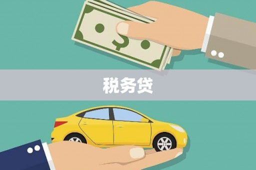 东丰税务贷