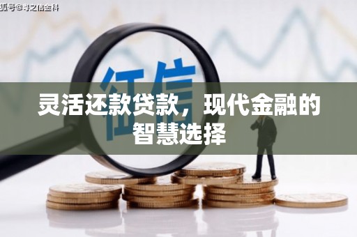 东丰灵活还款贷款，现代金融的智慧选择