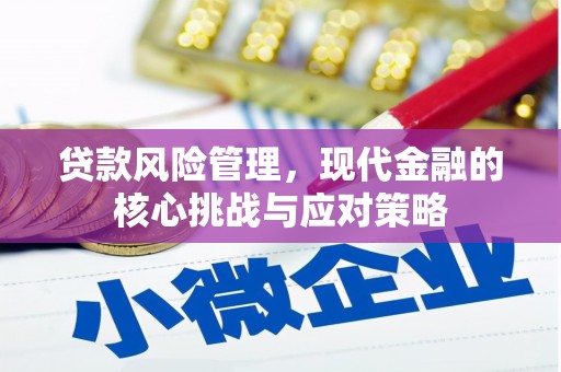 东丰贷款风险管理，现代金融的核心挑战与应对策略