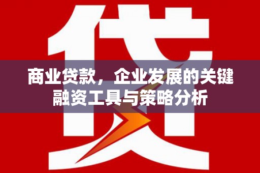 东丰商业贷款，企业发展的关键融资工具与策略分析