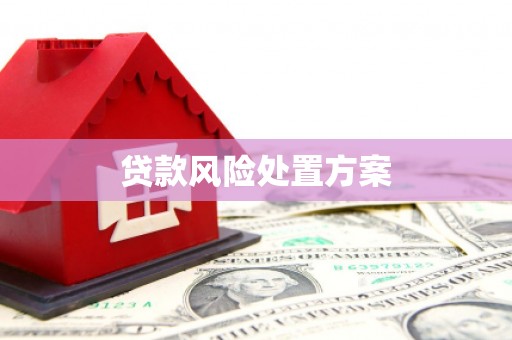 东丰贷款风险处置方案