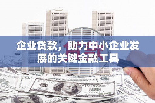 东丰企业贷款，助力中小企业发展的关键金融工具