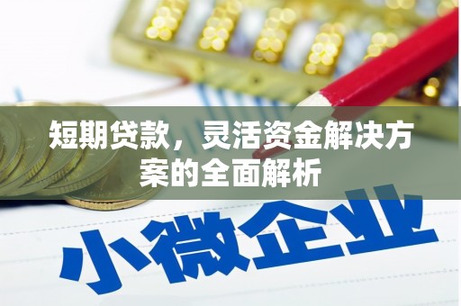 东丰短期贷款，灵活资金解决方案的全面解析