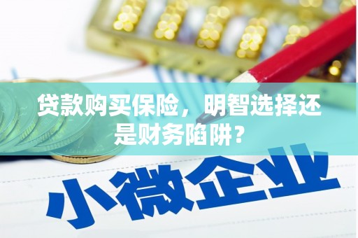 东丰贷款购买保险，明智选择还是财务陷阱？