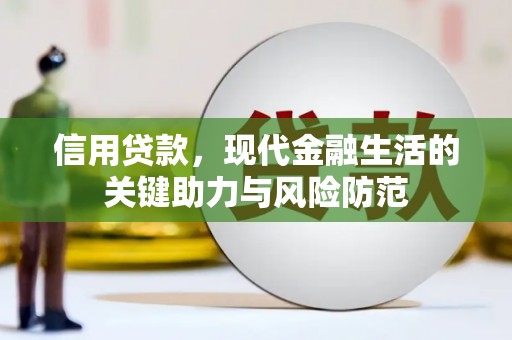 东丰信用贷款，现代金融生活的关键助力与风险防范