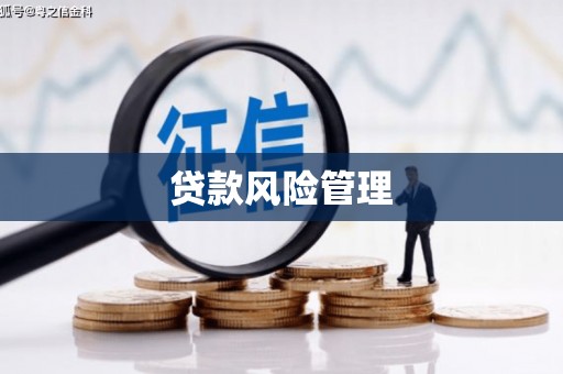 东丰贷款风险管理