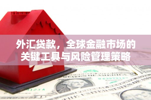东丰外汇贷款，全球金融市场的关键工具与风险管理策略