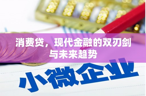 东丰消费贷，现代金融的双刃剑与未来趋势