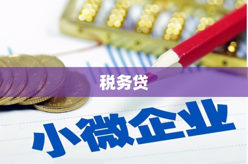 东丰税务贷